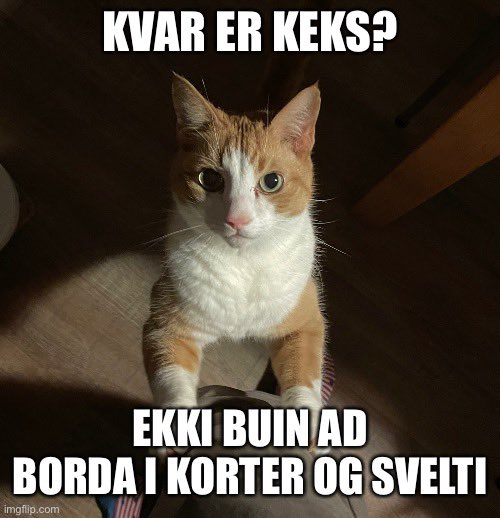 Erlingur Sigvaldason tweet media