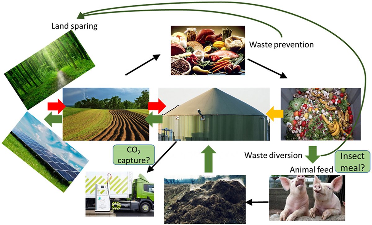 Our new paper: using land to grow maize to feed Anaerobic Digestion makes no env sense –covering that land with solar PV systems would be 4-23 times better at ⬇️GHG emissions. Reducing food waste or feeding it to animals also better than processing via AD: authors.elsevier.com/c/1eV8-3QCo9f6…