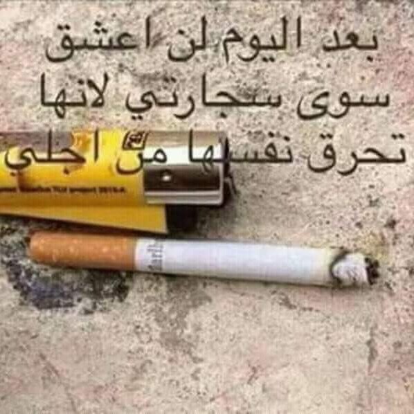 #صورة_ملف_شخصي_جديدة