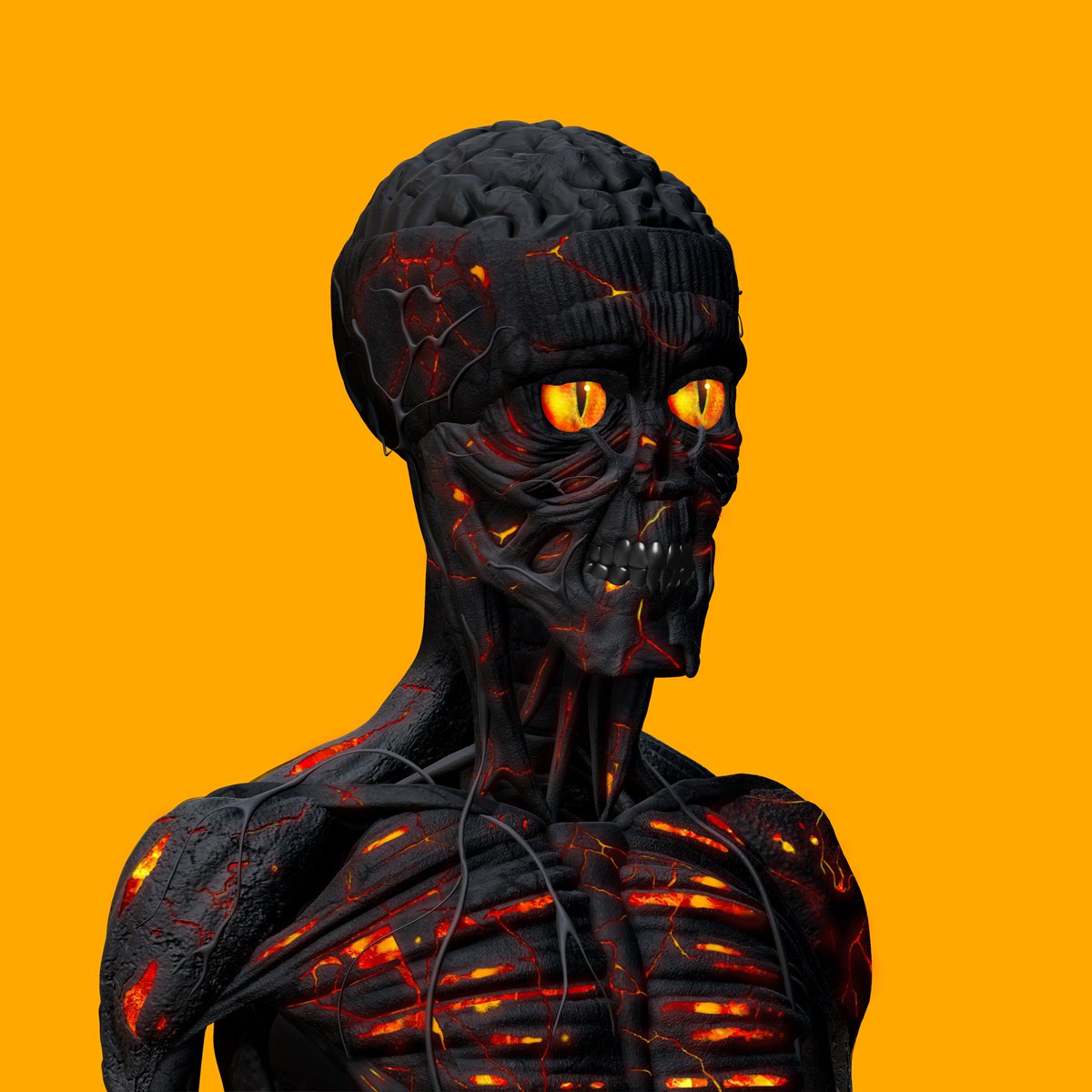 $LAB powered by Anatomy tweet media