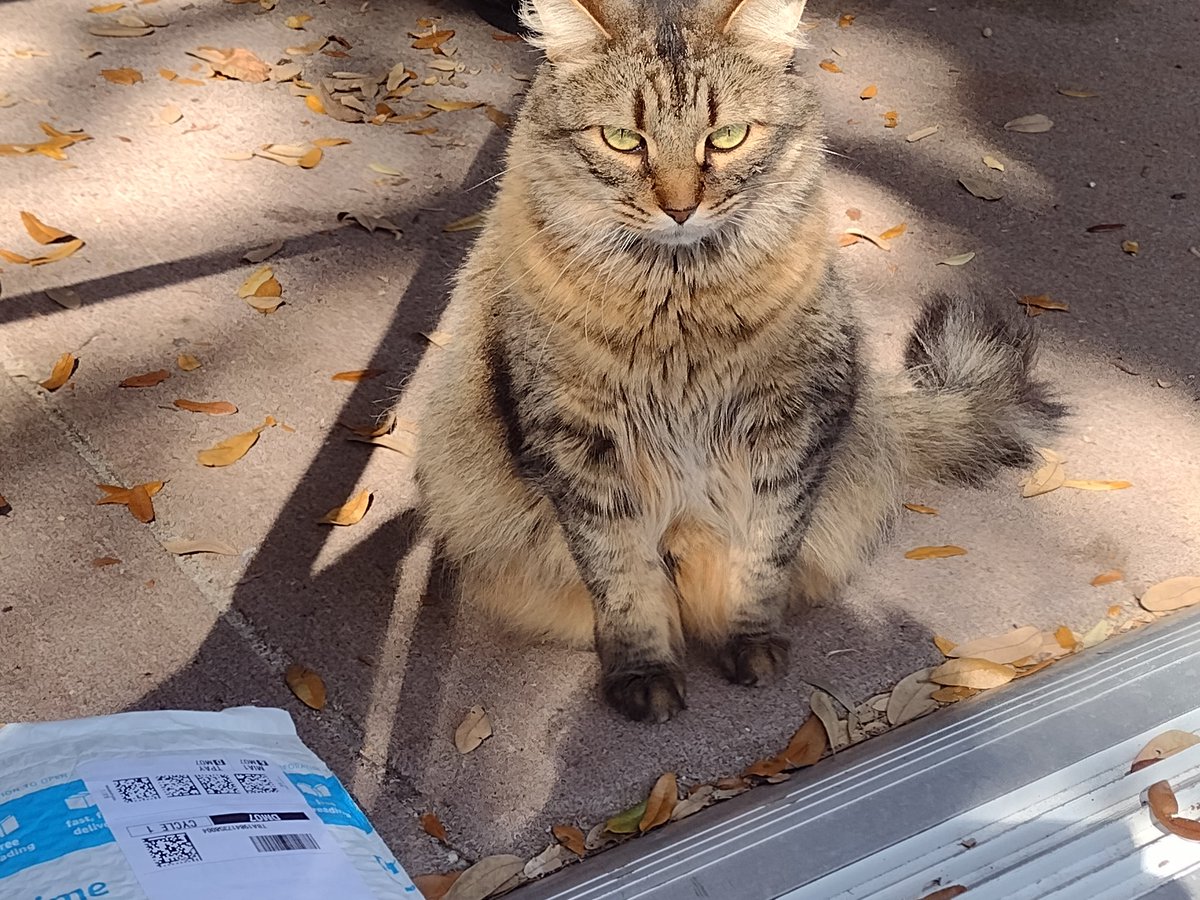 Debbie S Delgado tweet media