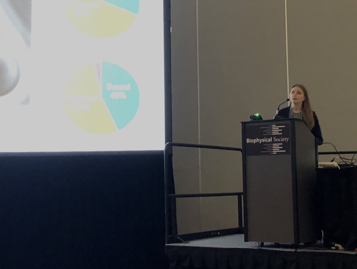 Great talks this morning from @ZYChen1996 and @kateeerina1! See you all this afternoon at @azald3gui’s poster number B520 for more #SingleMolecule #SuperResolution #BPS2022.