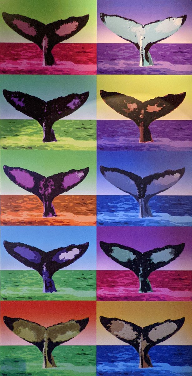 MauiOceanCenter's tweet photo. Happy #WorldWhaleDay! π
-
Join us today for a special event with Hawaiian Islands Humpback National Marine Sactuary and #GoGreenForBlue π
-
#OceanAloha #ImmerseYourself #MarineConservation #HumpbackWhales #Whales #Hawaii #Maui https://t.co/vDTKpKpX7m