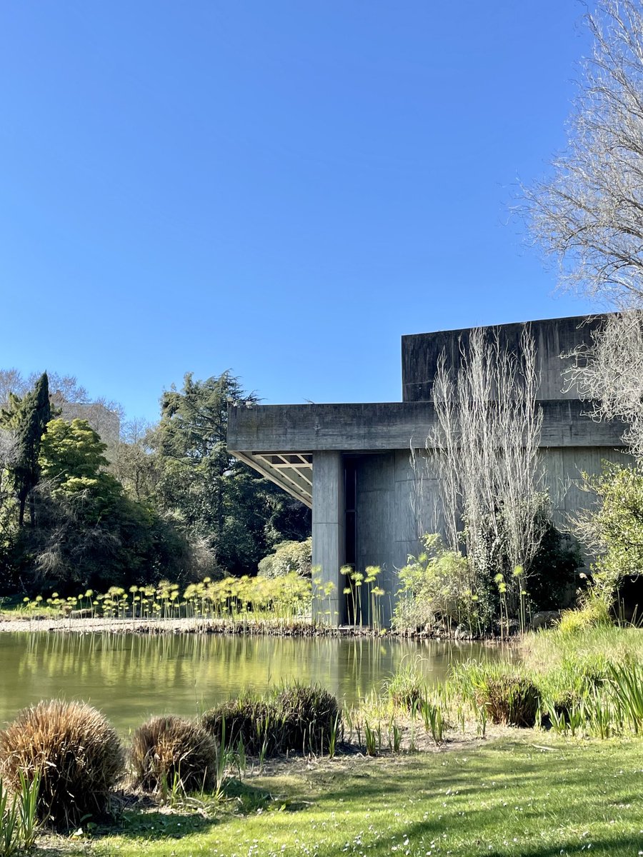 lara_kinneir's tweet photo. Absolute dream of an extra (flight cancellation 😕) day in Lisbon at the ⁦⁦@FCGulbenkian⁩ WHAT A PLACE. Anyone working on buildings within parks and city blocks needs to visit. Incredible inside/outside nature/nurtured spaces. And then there are the collections - sublime https://t.co/qnFueJpaZe