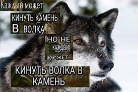 Tim Bochkarev tweet media