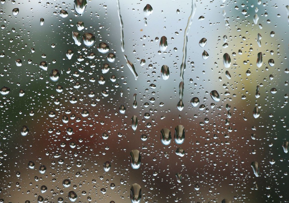laletroteca's tweet photo. Estamos de acuerdo en que «petricor» (‘olor a lluvia’) es un término precioso, ¿no? Pues su etimología lo es más aún: procede del griego «petra» ‘piedra’ e «īchōr», que hacía referencia al líquido que fluía por las venas de los dioses griegos. https://t.co/gCMcjDI5PM