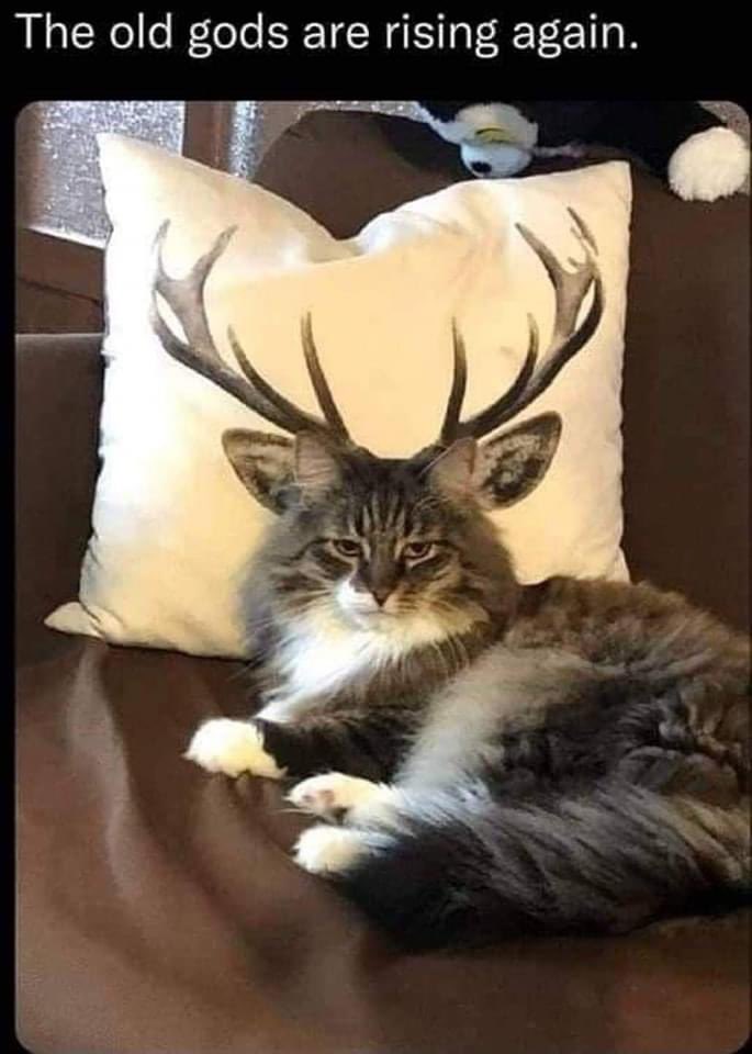 SelineSigil9's tweet image. 😉✨