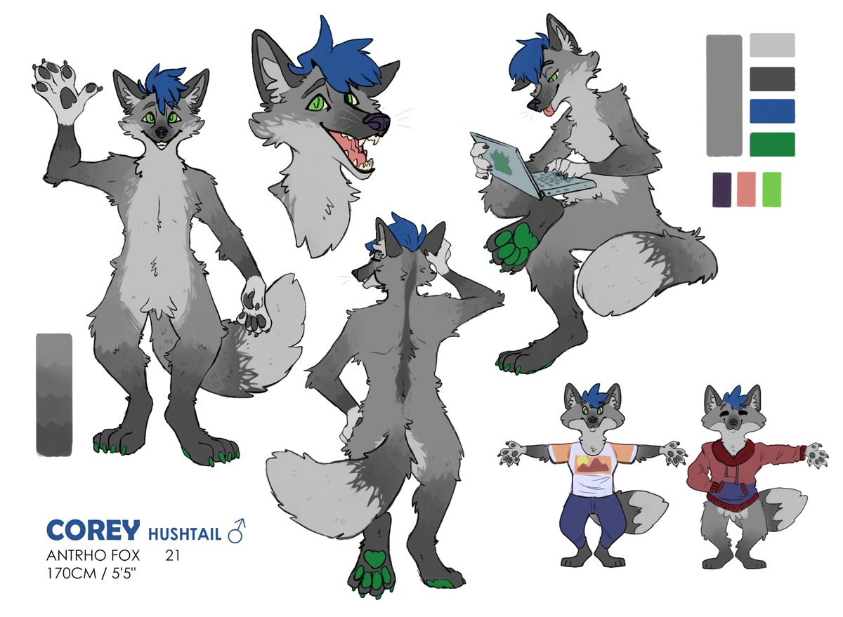 Corey Hushtail tweet media