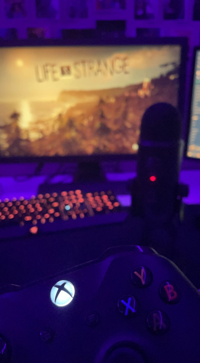 yumi ☀️ tweet media