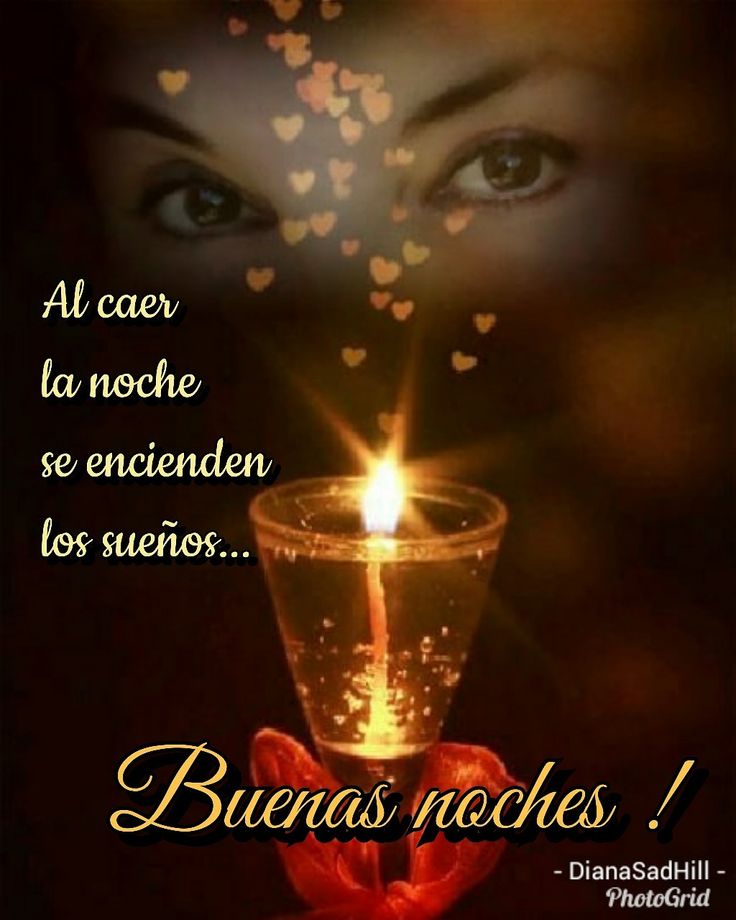 RosaOA6's tweet photo. Buenas Noches 🌿😇✨🥰😘😘 https://t.co/RbmOvj4aZY