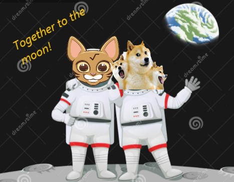 Vangrail1's tweet photo. TO THE MOON
#DOGEmeetsOCI 
#Radix 

@ociswap 
@Doge3_cerby https://t.co/xxXhhcJy3n https://t.co/u5Gu4WPgsC
