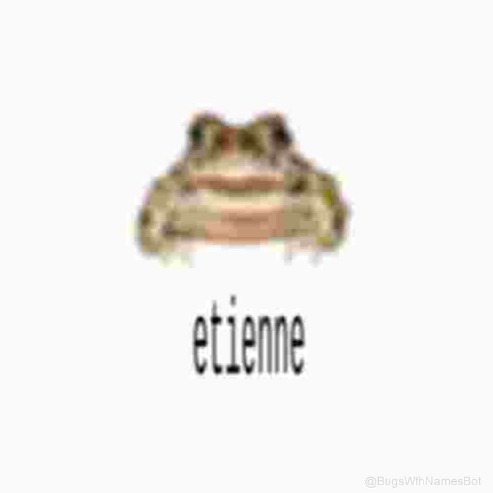 BugsWthNamesBot's tweet image. 🐸 Etienne