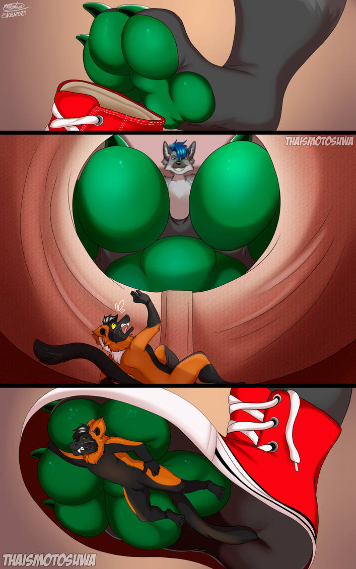 Corey Hushtail tweet media