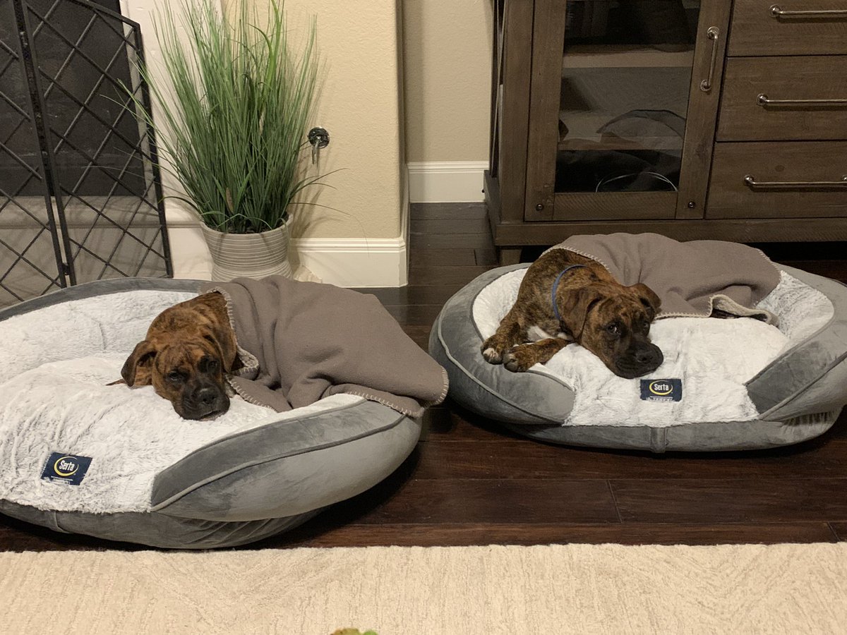 Eric Vogel tweet media