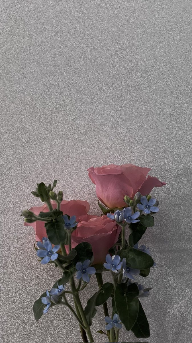 OPEN_ID_NERO's tweet photo. 💗보내주시는 후기들은 많은 힘이 됩니다🖤 https://t.co/IzajNxXRiV