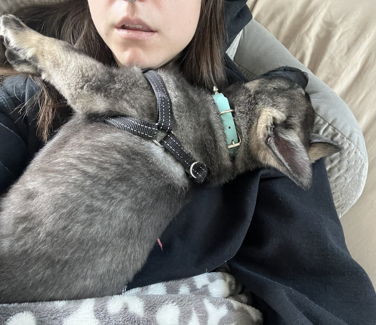 longingalways's tweet image. Ringing in Pisces Szn as it was intended 😴 ✨