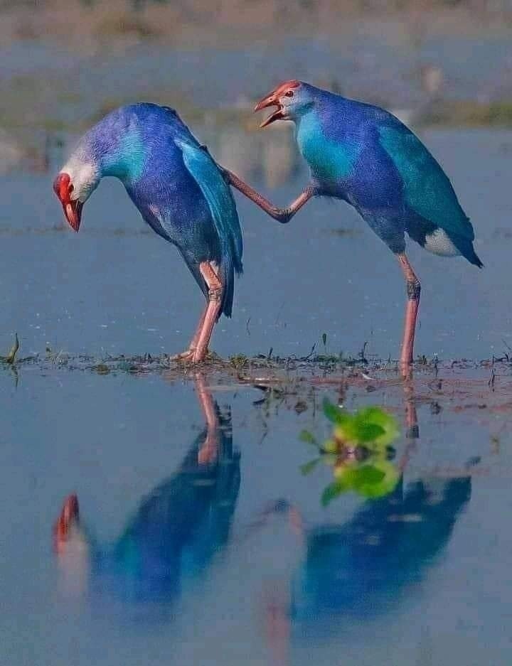 친구야~~
힘드니
힘내자
위로의 말 한마디
코로나로
힘든 이 시기를
서로 사랑하며
잘 넘기자구요~~~
#돌나라브라질농장
#kfarm