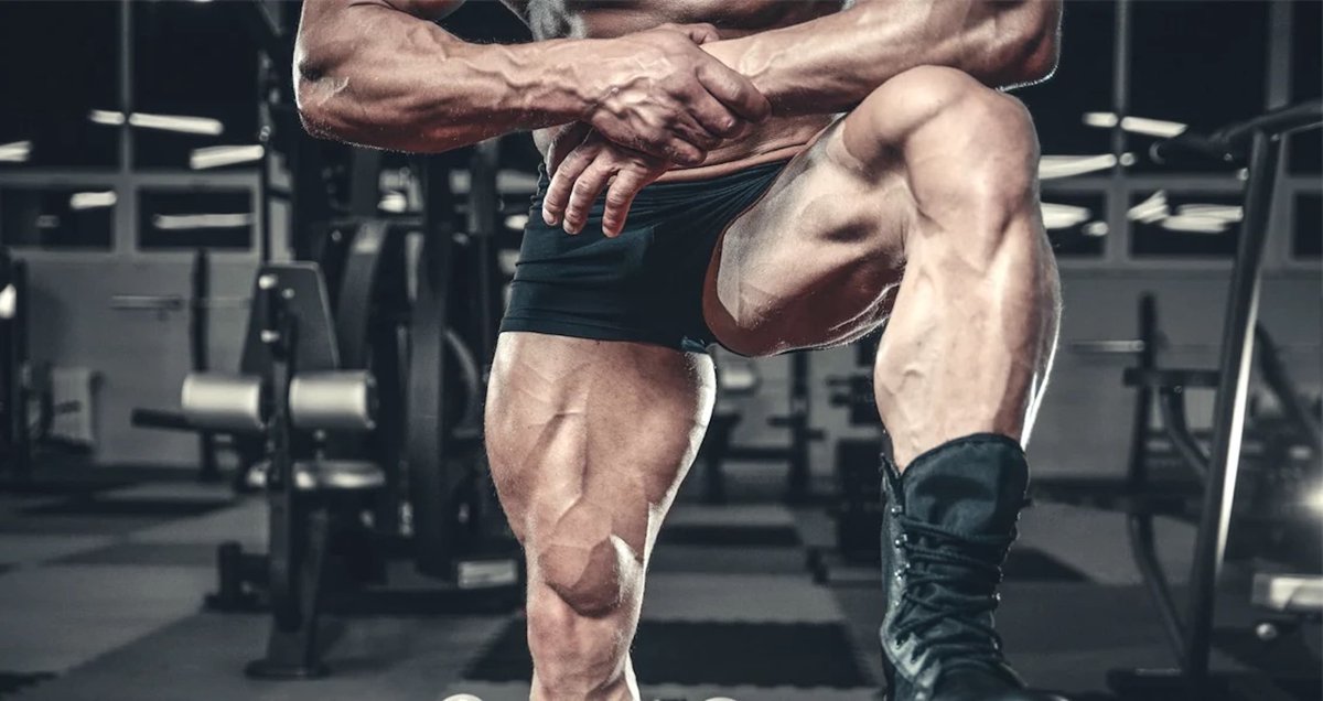 FitnessHacks101's tweet photo. Leg Bangers To Try During Your Next Leg Day https://t.co/S7GOaueTGb https://t.co/X7KTThXiVX