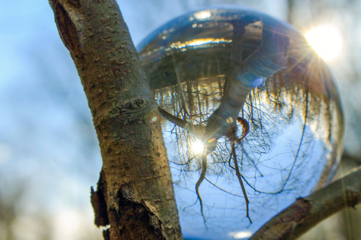 OutThereArtNFT's tweet photo. Went hiking and snapped a few photos. What do you think?
Should they become NFTโs?
#photograph #photos #nfts #nftphotography #nature #glassorb #art #naturehike https://t.co/w12pf5ZO6P