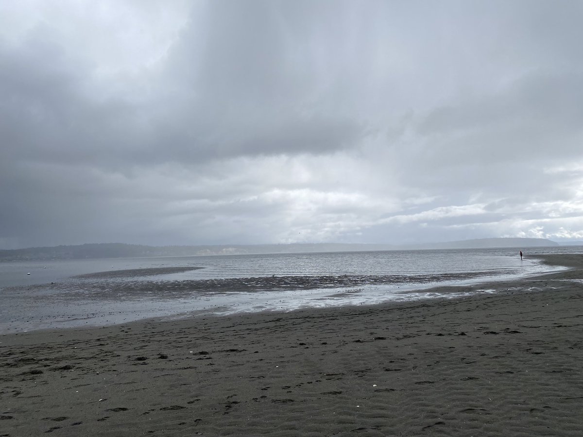 MysticCindi's tweet photo. Took a quick walk on the beach today. #doublebluff #whidbey https://t.co/yKtWcfaoyH