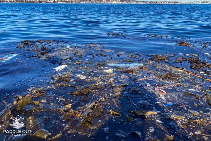 PadleOutPlastic's tweet image. What’s your view of #plasticpollution ?
#paddleoutplastic every way you can.
