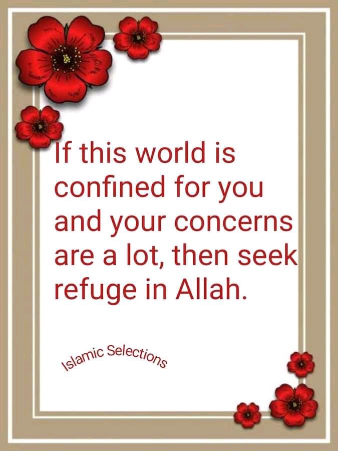 FiqhIslamic's tweet image. Always seek refuge in Allah
#islamicselections #islamictips #reverttoislam #revertmuslim #revertmuslimah #islamictweeter