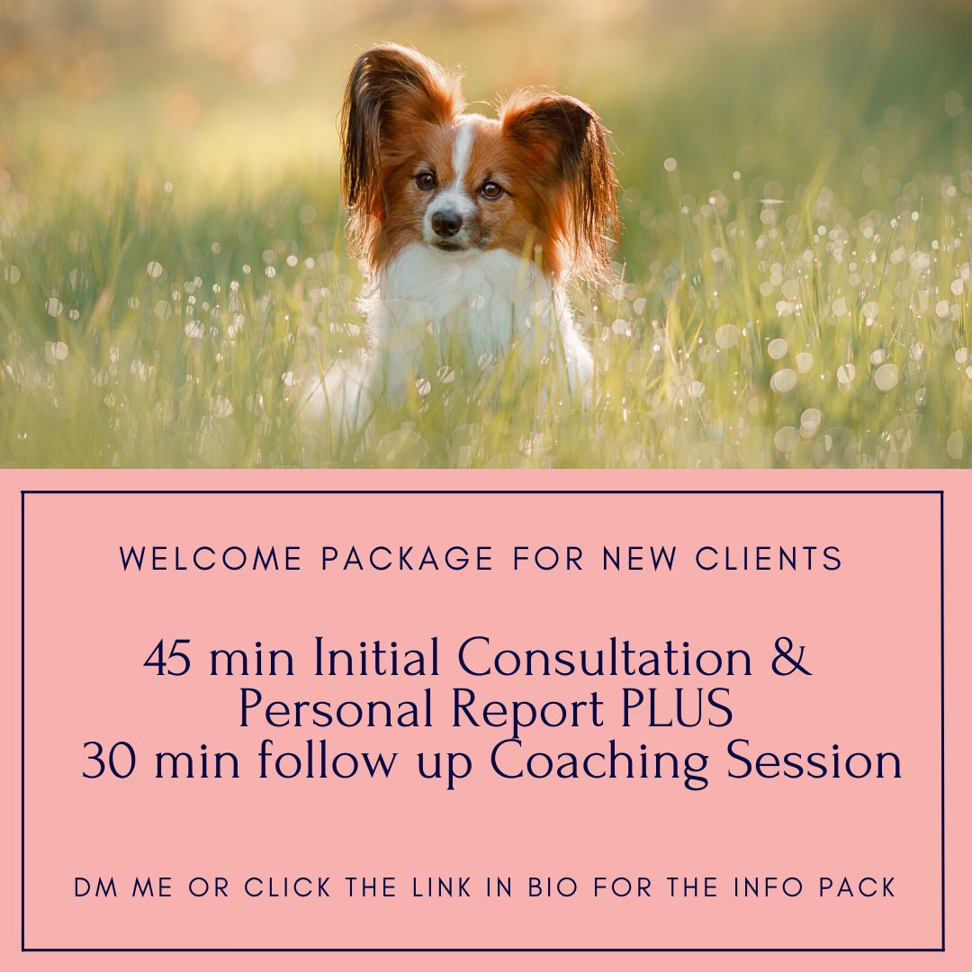dr_zoolittle's tweet photo. Qualities to look for when choosing a Longevity &amp; Welfare Zoologist: Experience is positive reinforcement animal training. 

DM me or click the link below to receive a free Info Pack.

https://t.co/mGqxMTAimA https://t.co/2zI0O17UVW