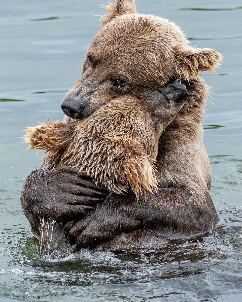 barbypada's tweet photo. ♡♡♡💞
#nature #NatureBeauty #wildlifephotography #wildlife https://t.co/qRFUEfAj48