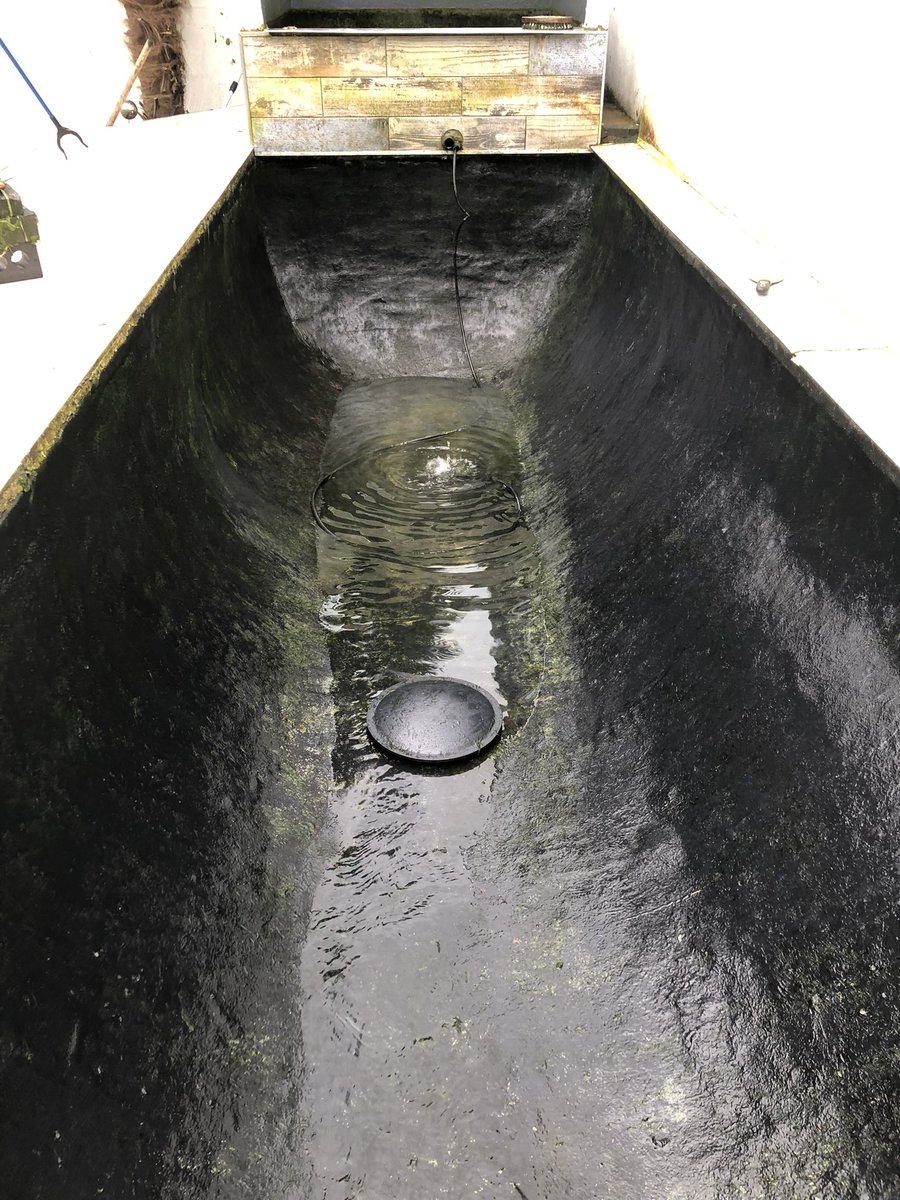 aquariaquacare's tweet photo. Another day at the office ☺️😊 just a quick before and after pond.
The work was not actually at this point… ☺️😊 🥰love my job🥰 #lovemyjob #CleanUp #pondcleanup #PondLife #Koi #Koipond https://t.co/otAepHychn