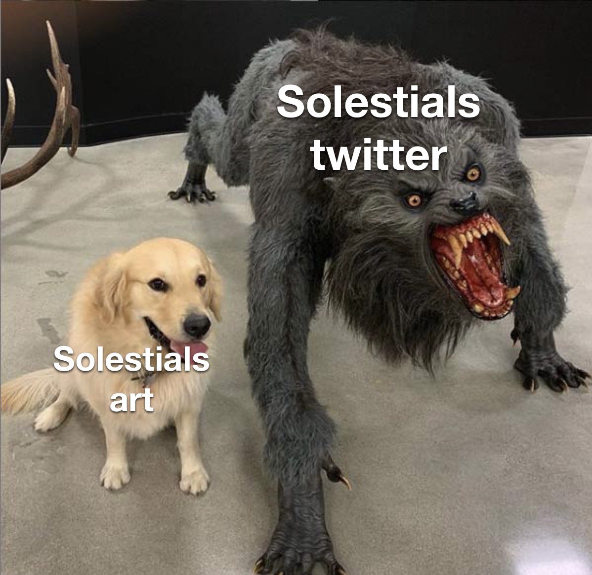 Solestials tweet media
