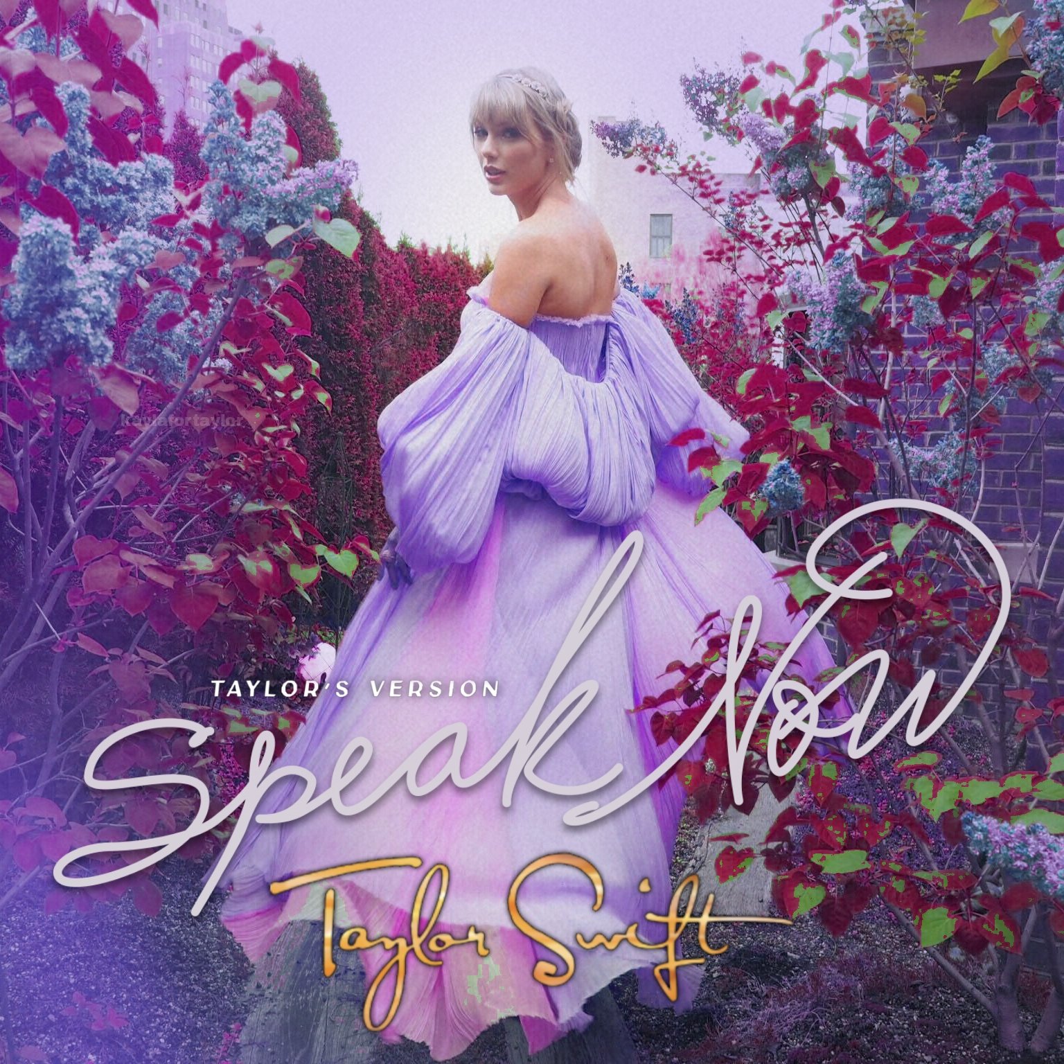 kayla (taylors version) on Twitter: "speak now (taylors version) album cover  concept! https://t.co/82sFve1g4C" / Twitter