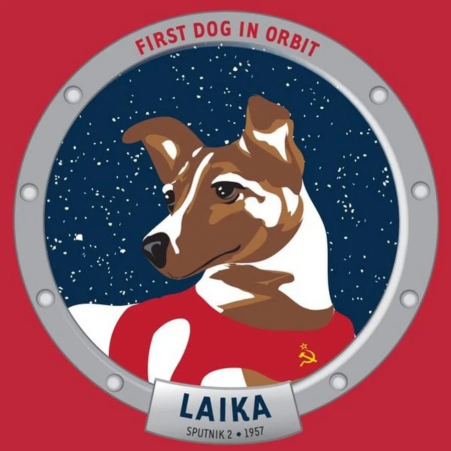 Renad0205's tweet photo. @elonmusk @TPostMillennial Elon Musk good afternoon. I wanted to ask why you chose the dog shiba inu, doge? When the world's first dog Laika flew into space on November 03, 1957. Support us #AidiFinance 2022.mars https://t.co/jb6eyaRLOx
