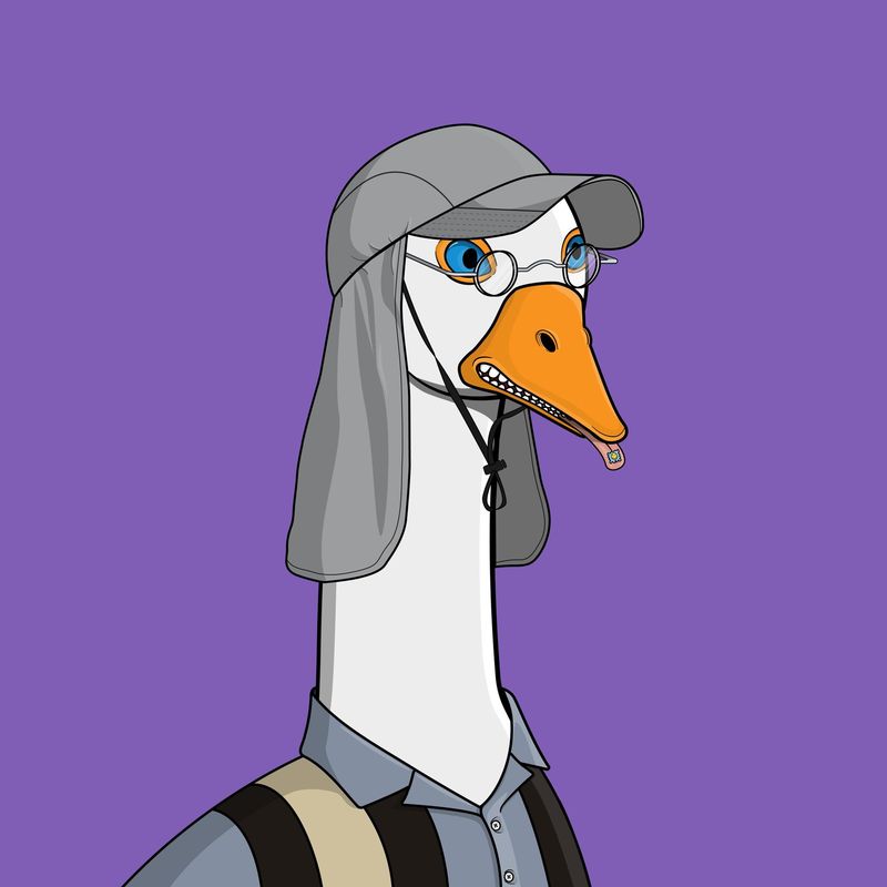 WhalerBags's tweet photo. Let's go day tripping - really like the vibes of this goose! @CrazyGooseFlock https://t.co/GuC1Beh8Z1