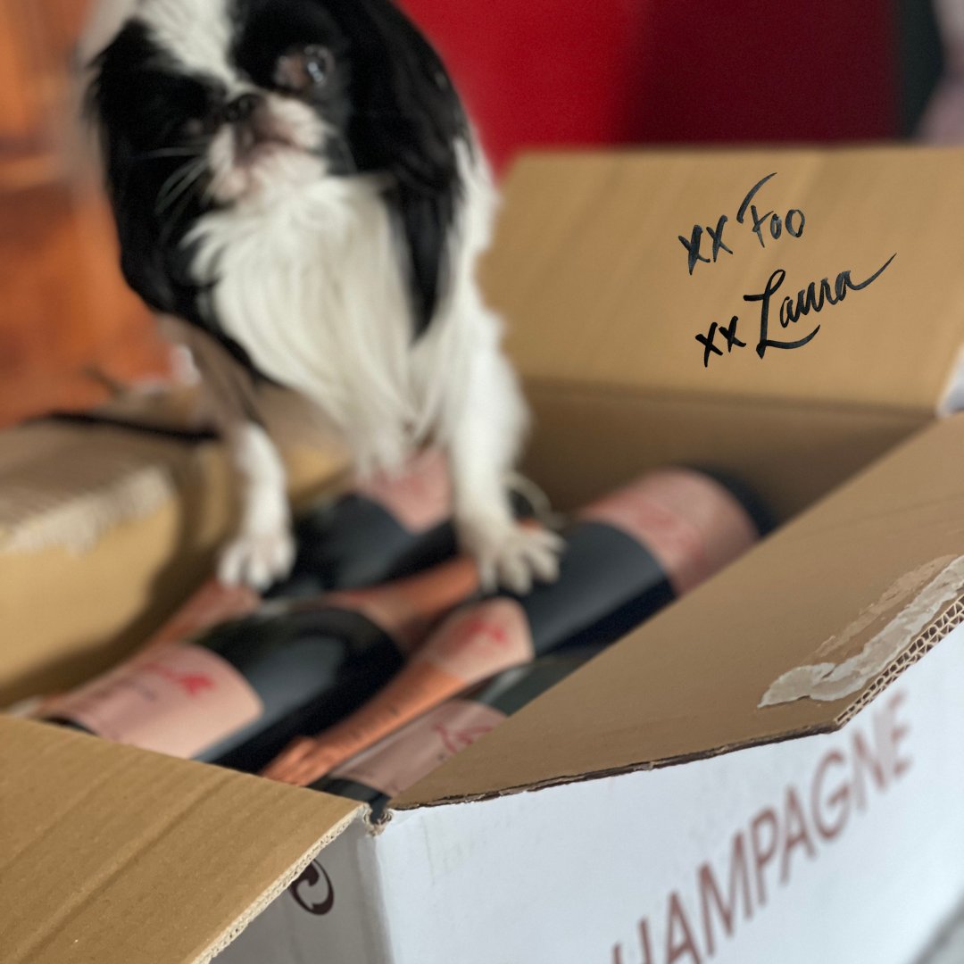 LauraLobdell's tweet photo. My loyal and constant Champers Companion - always ready to party prep... Chin Chin !!🥂

#lauralobdell #foo #champers #chinchin #partytime https://t.co/SCPmppwj15