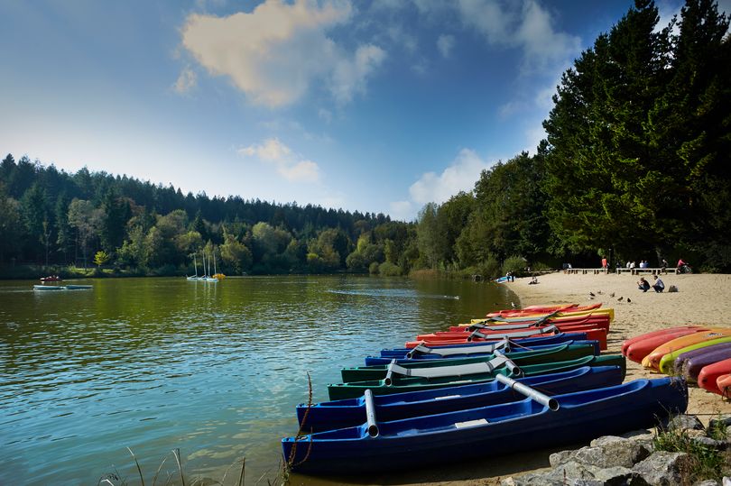 Half term holiday plans ruined for families as Center Parcs closes three sites due to storm damage bit.ly/3H5iBDh