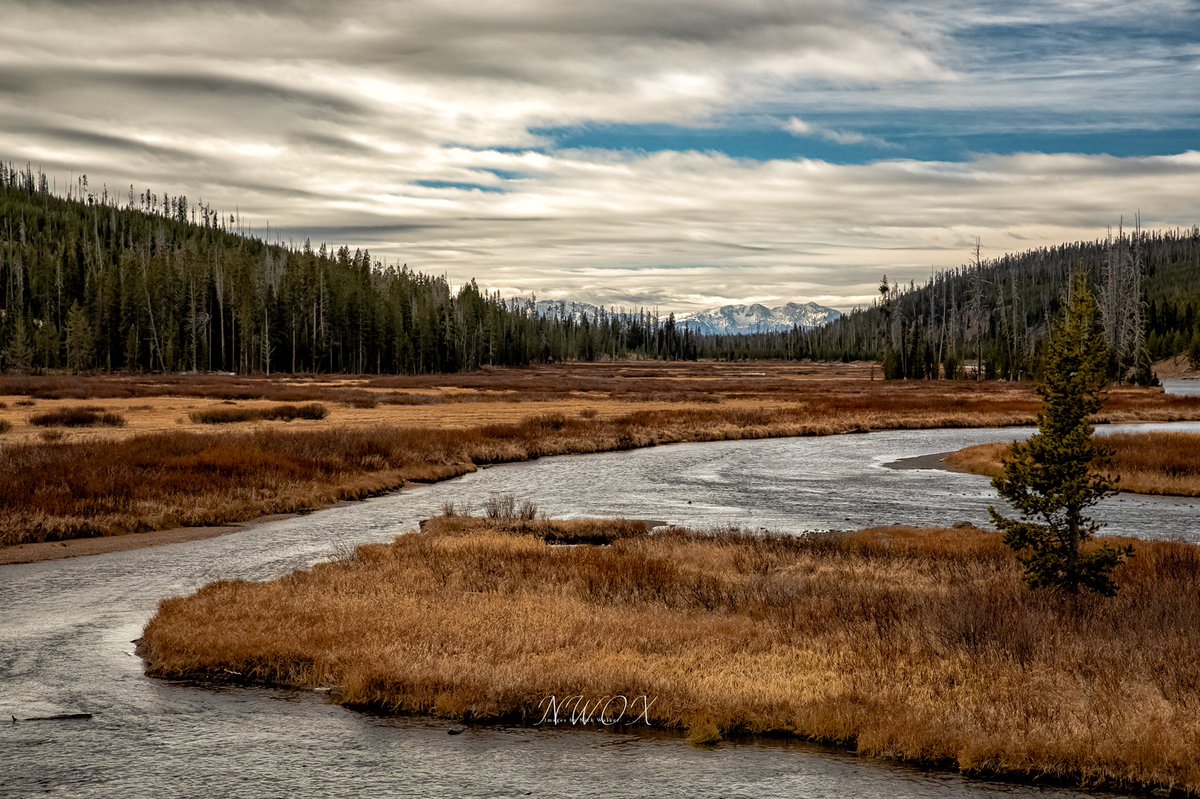nwox's tweet photo. @YellowstoneNPS No idea where in the park I took this. Yellowstone River moving south toward the Tetons. #YNP150area https://t.co/ppskZoHlIh