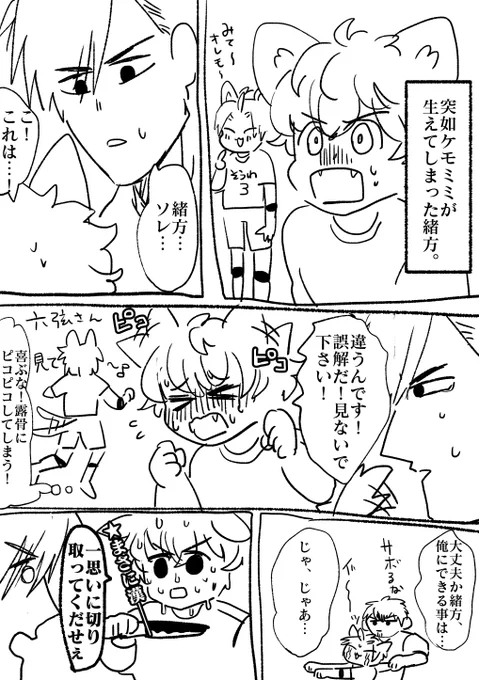 【灼カバ・BL】
カタギリ大好きオガタのラクガキ(ケモミミ) 