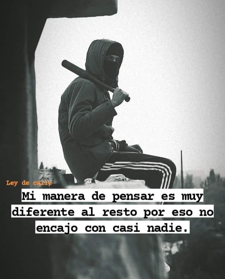 Vanessa Rodríguez tweet media