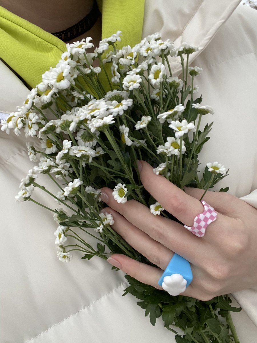 bekumoon's tweet photo. Мне сказали, что это хризантемы 🥲 https://t.co/pypy3dLzix
