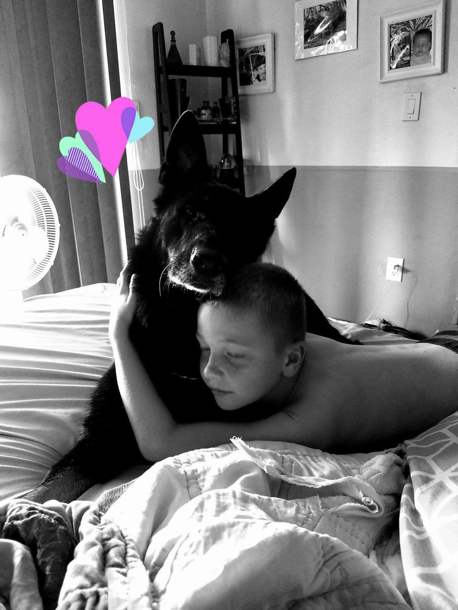 Kaleb Bowman tweet media