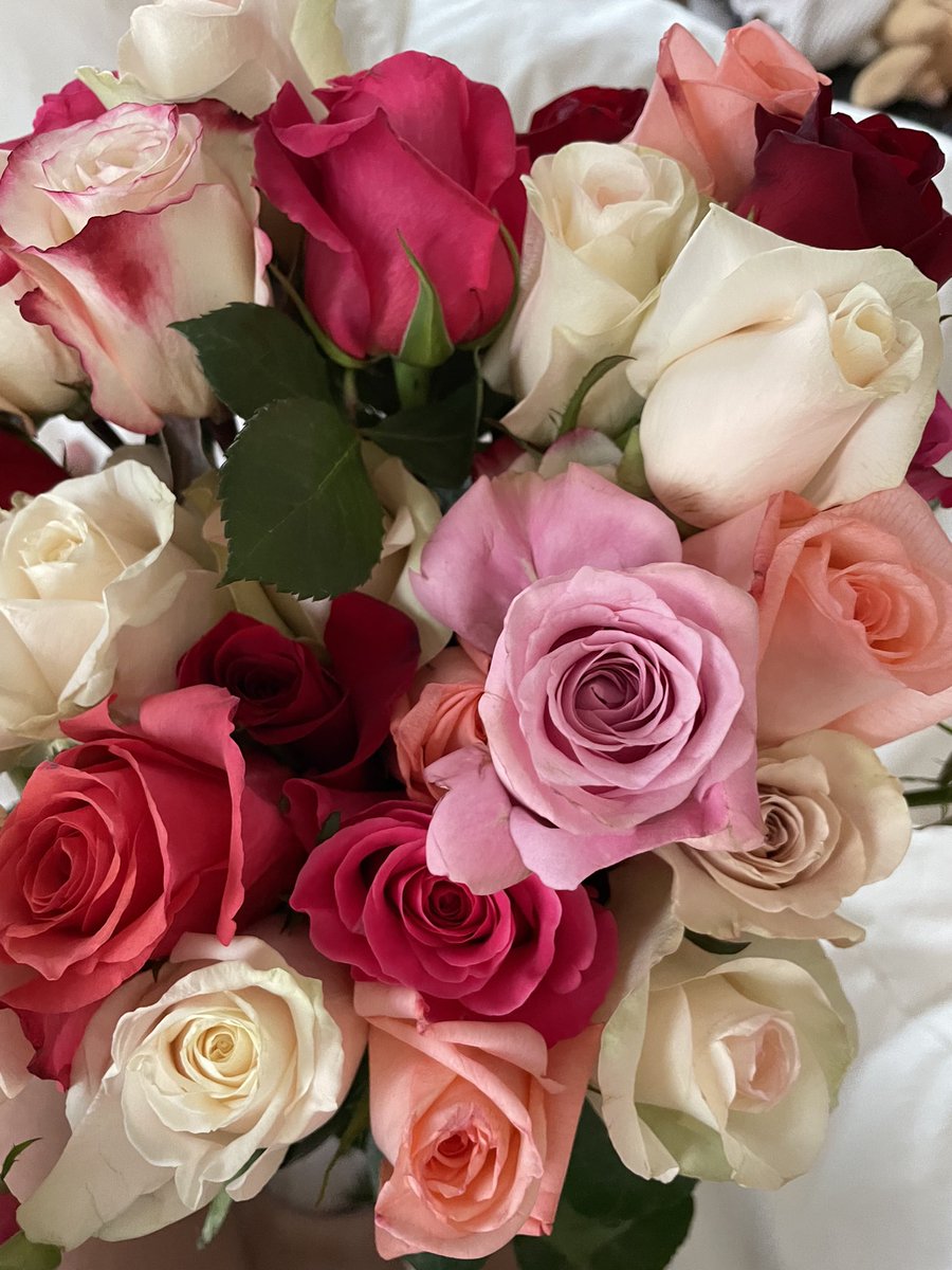 bushran_'s tweet photo. Vday flowers 💐💕 https://t.co/azkTS1nvIB