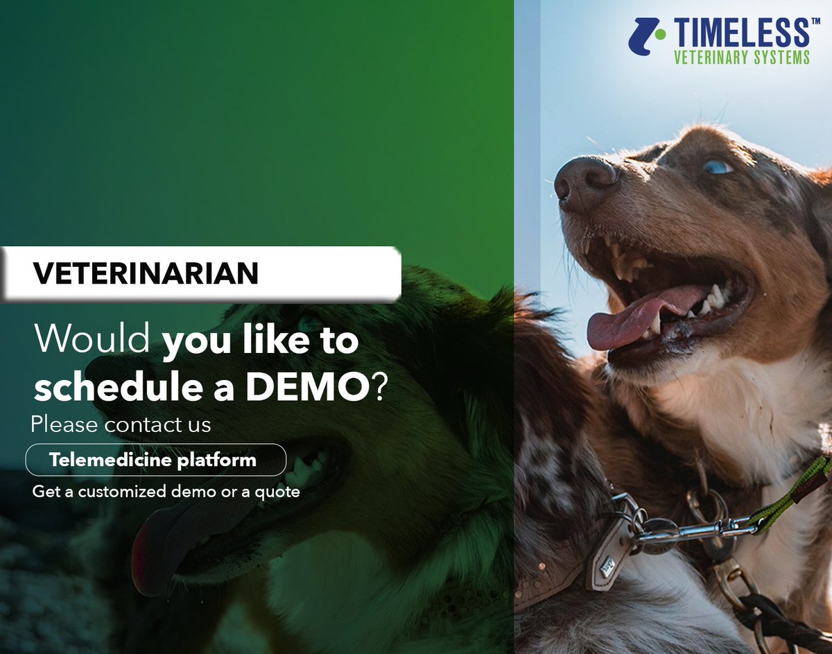 Timeless Veterinary tweet media