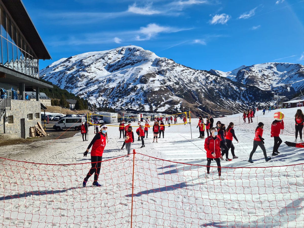 SnowVoley tweet media