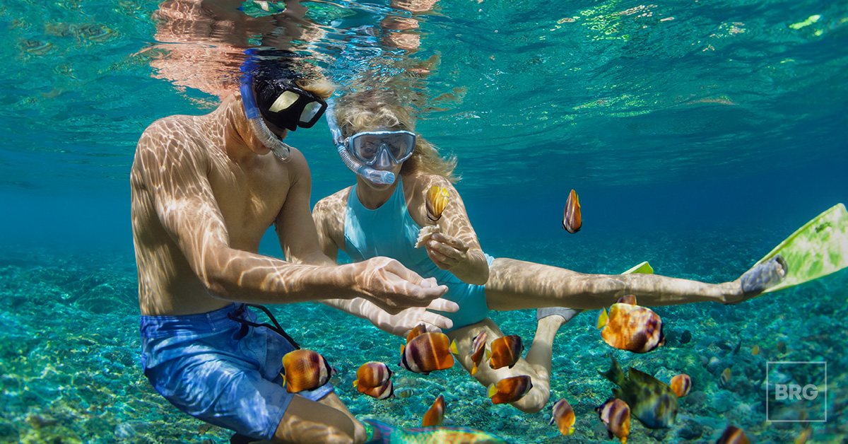 International borders have finally #reopened to fully vaccinated tourists! This is an important step in the #recovery of #tourism businesses &amp; experience operators, opening the door to travellers excited to explore the incredible #experiencemarkeplace within Australia.
