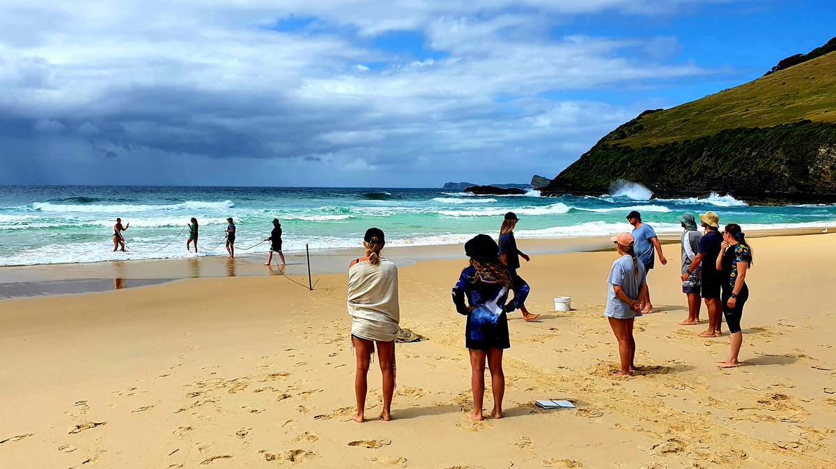 Enjoyed my cameo last week helping teach @UoN_CaMS students all things sand and surf on the excellent @Uni_Newcastle coastal field course led by @DrHannahPower. The Pacific Palms classroom turned it on for students very happy to have toes and notebooks firmly planted in the sand!