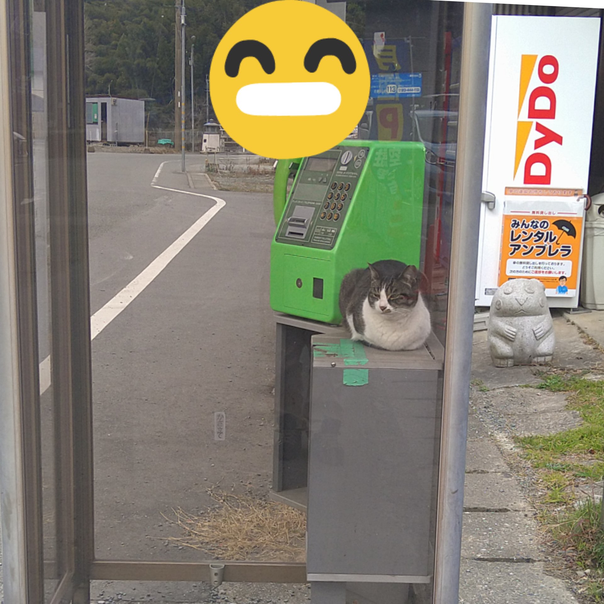 ほののか Kokonoka4645 Twitter