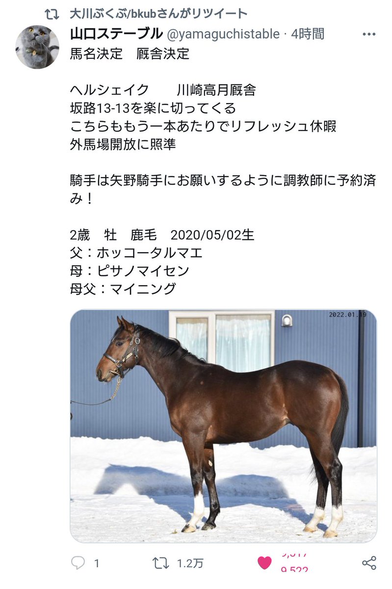 競争馬にヘルシェイクと命名して矢野騎手を手配することでヘルシェイク矢野が完成 みんなヘルシェイク矢野のこと考えてる ぶくぶ先生も反応 ポプテピピック まとめ部