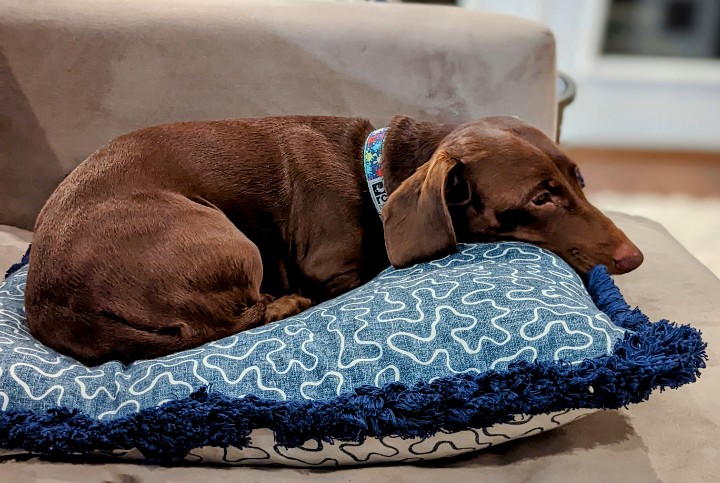 At home. At Oka. @okadirect