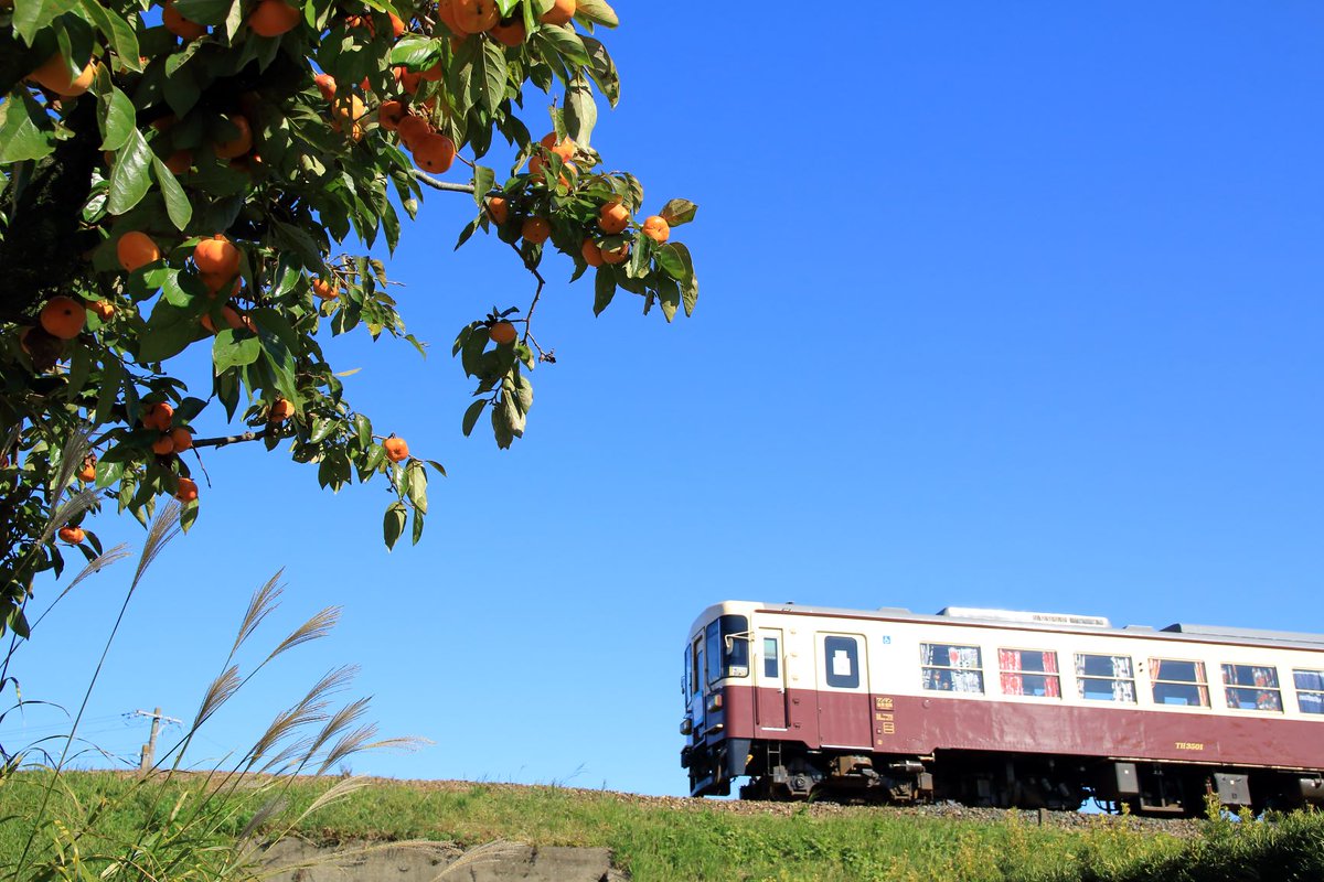 箱根駅伝の現地観戦に行っていた頃、現地で知り合ったスポーツ写真が