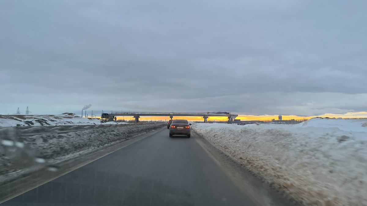 Полли tweet media